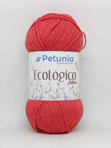 Algodón Ecológico Petunia 100 Grs