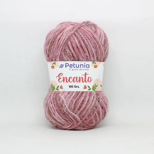 Lana Encanto Petunia 100grs